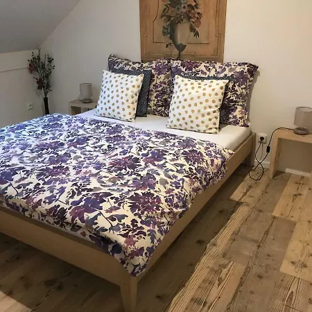 Apartman Antico-moderno ميكولوف